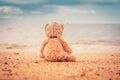 Teddy bear sit alone at the seashore Royalty Free Stock Photo