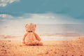 Teddy bear sit alone at the seashore Royalty Free Stock Photo