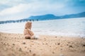 Teddy bear sit alone at the seashore Royalty Free Stock Photo