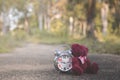 Teddy bear sit back Retro alarm clock on concete road in the garden