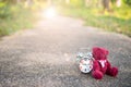 Teddy bear sit back Retro alarm clock on concete road in the garden Royalty Free Stock Photo