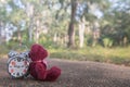 Teddy bear sit back Retro alarm clock on concete road in the garden Royalty Free Stock Photo