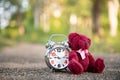 Teddy bear sit back Retro alarm clock on concete road in the garden