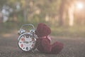 Teddy bear sit back Retro alarm clock on concete road in the garden