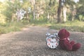 Teddy bear sit back retro alarm clock on concete road in the garden