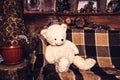 Teddy bear sits on couch. Royalty Free Stock Photo