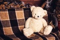 Teddy bear sits on couch. Royalty Free Stock Photo