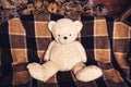 Teddy bear sits on couch. Royalty Free Stock Photo