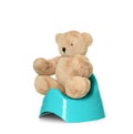 Teddy bear sitting on blue potty. Toilet training