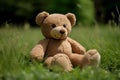Teddy bear sitting on a floor and on green grass on wodden and nature background Royalty Free Stock Photo