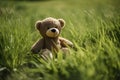 Teddy bear sitting on a floor and on green grass on wodden and nature background Royalty Free Stock Photo