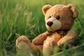 Teddy bear sitting on a floor and on green grass on wodden and nature background Royalty Free Stock Photo