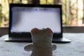 Teddy bear sitting in front of laptop computer device. Still Life. Child using digital technology. Conceptual background concept. Royalty Free Stock Photo
