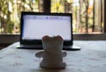 Teddy bear sitting in front of laptop computer device. Still Life. Child using digital technology. Conceptual background concept. Royalty Free Stock Photo