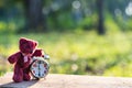 Teddy bear sitting lonely and retro alarm clock in the garden Royalty Free Stock Photo