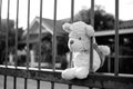 Teddy bear sitting middle fence black and white image.