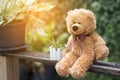 Teddy bear sitting in the park early morning time with sun light.