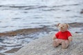 Teddy bear sitting on the stone on the beach backgraund Royalty Free Stock Photo