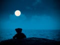 Teddy Bear Sitting on Stone at Coast with Blur Sea and Moonlight Night Blue Black Dark Background Card Poster Lonely,Love Royalty Free Stock Photo