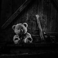 Teddy bear sitting in thrown shed.