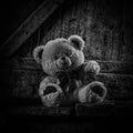 Teddy bear sitting in thrown shed.