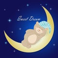 Teddy bear sleeping on the moon on nigjt sky background Royalty Free Stock Photo