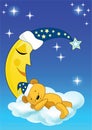 The teddy bear sleeps. Royalty Free Stock Photo