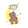 Teddy bear sleeps on the moon. Vector illustration on a white background. Royalty Free Stock Photo