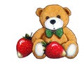 Teddy Bear with Strawberries, Drawing