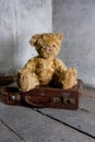 Teddy bear on suitcase