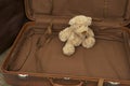 Teddy bear in suitcase Royalty Free Stock Photo