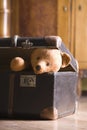 Teddy Bear In Suitcase