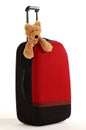 Teddy bear on a suitcase with long handle