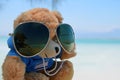 Teddy bear on sunny day against the background of the sea. Toy in glasses with reflection of palm trees and beach. Dead Sea Israel
