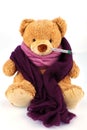 Teddy bear with thermometer