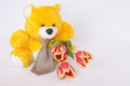 Teddy Bear with tie , tulip flowers - stock photos