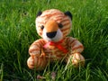 Smiling teddy bear toy sitting on the grass