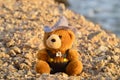 Teddy bear toy at the beach during golden hour close-up Royalty Free Stock Photo