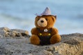 Teddy bear toy at the beach during golden hour Royalty Free Stock Photo