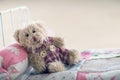 Teddy bear in a toy ber