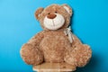 Teddy bear toy, brown soft doll