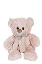 Teddy bear toy isolated on white Royalty Free Stock Photo