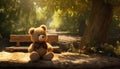 a teddy bear toy, seated on a rustic park table