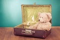 Teddy Bear toy sitting in old retro suitcase front mint blue background. Vintage style photo Royalty Free Stock Photo