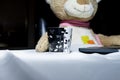 Teddy bear toy on the table with cup of coffee