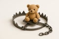 Teddy bear in a trap. Royalty Free Stock Photo