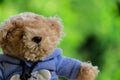 Teddy bear on a tree background blurred.