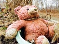 Teddy bear in tub