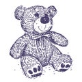 Teddy Bear vector drawing