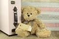 Teddy bear with vintage suitcase and blank tag